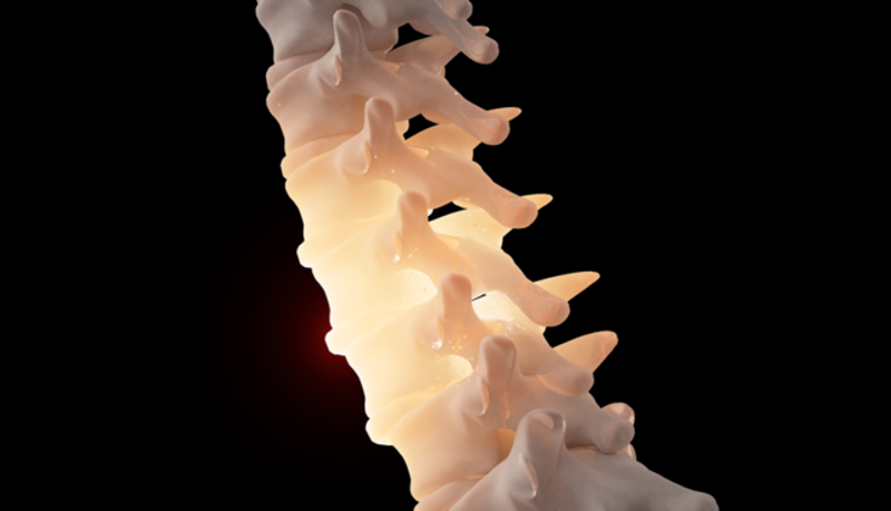 Illustration for article titled Most Beautiful Items: February 7 - 14, 2014